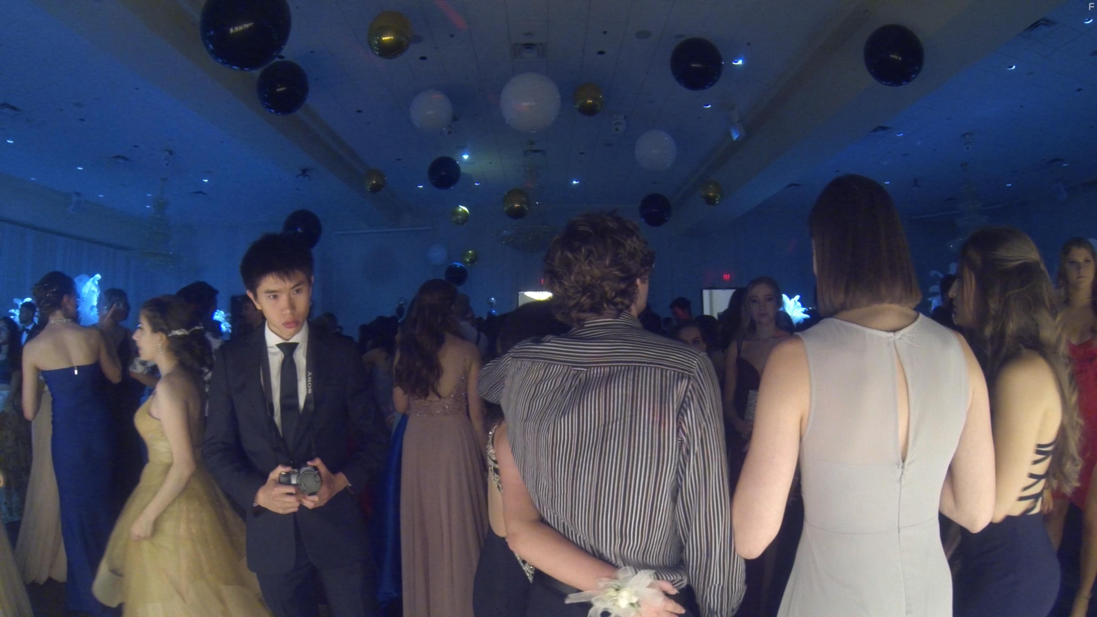 Терапевтические псы