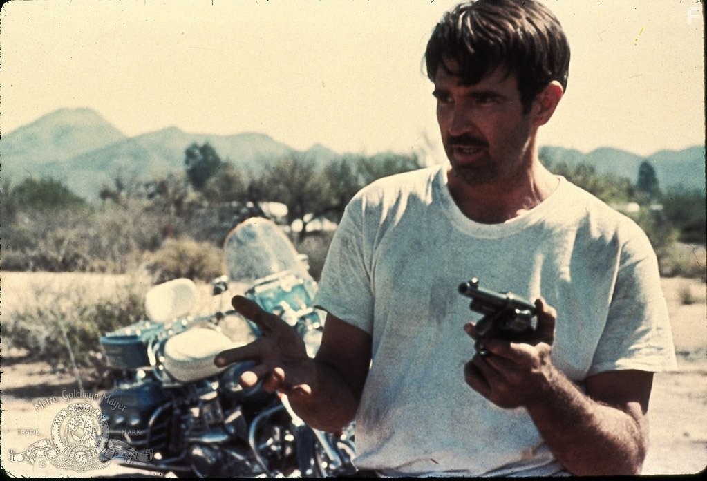 Billy Green Bush in Парни в синей форме (1973)