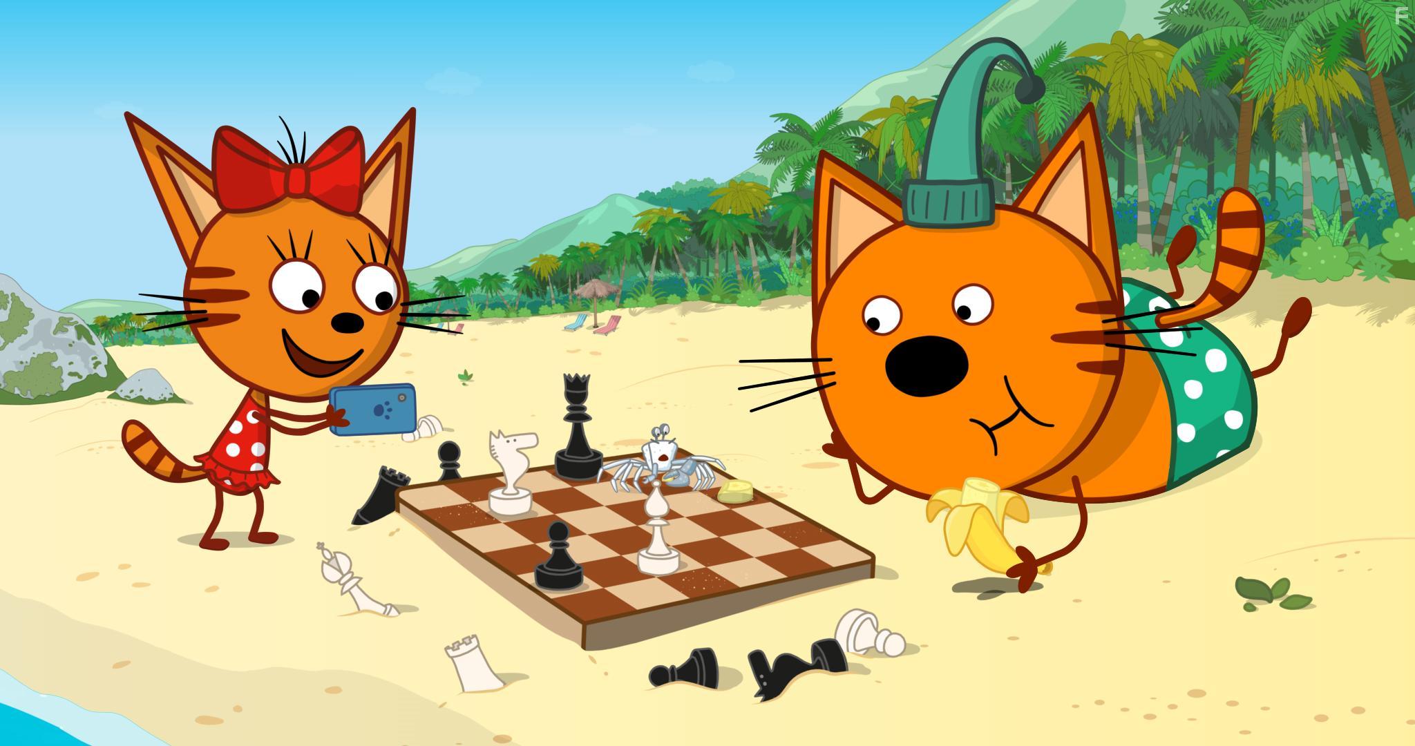 Три кота и море приключений #9