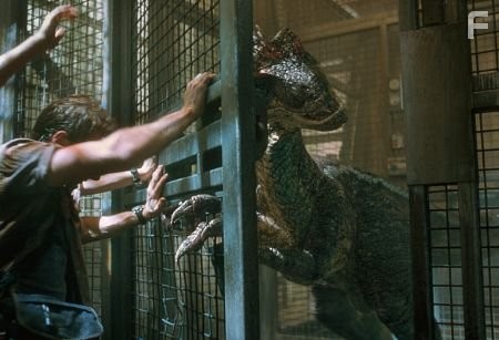 Billy Brennan holds a raptor at bay.