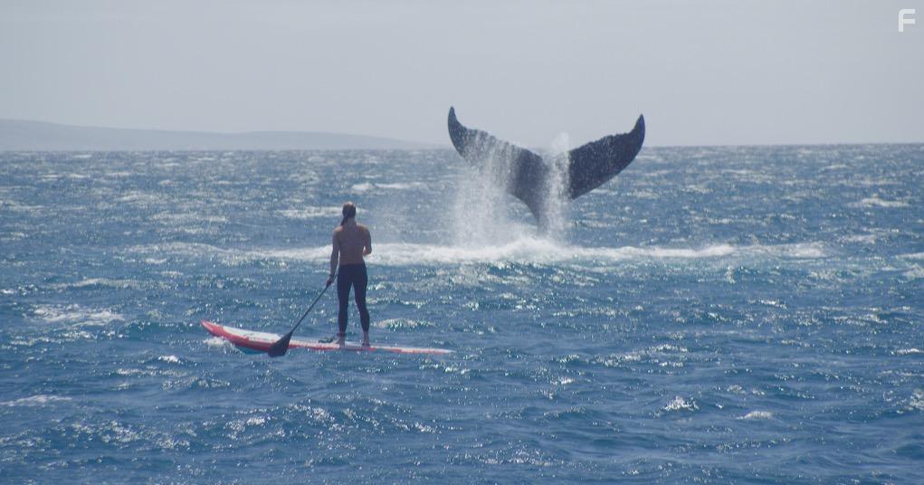 She Is the Ocean (2018)