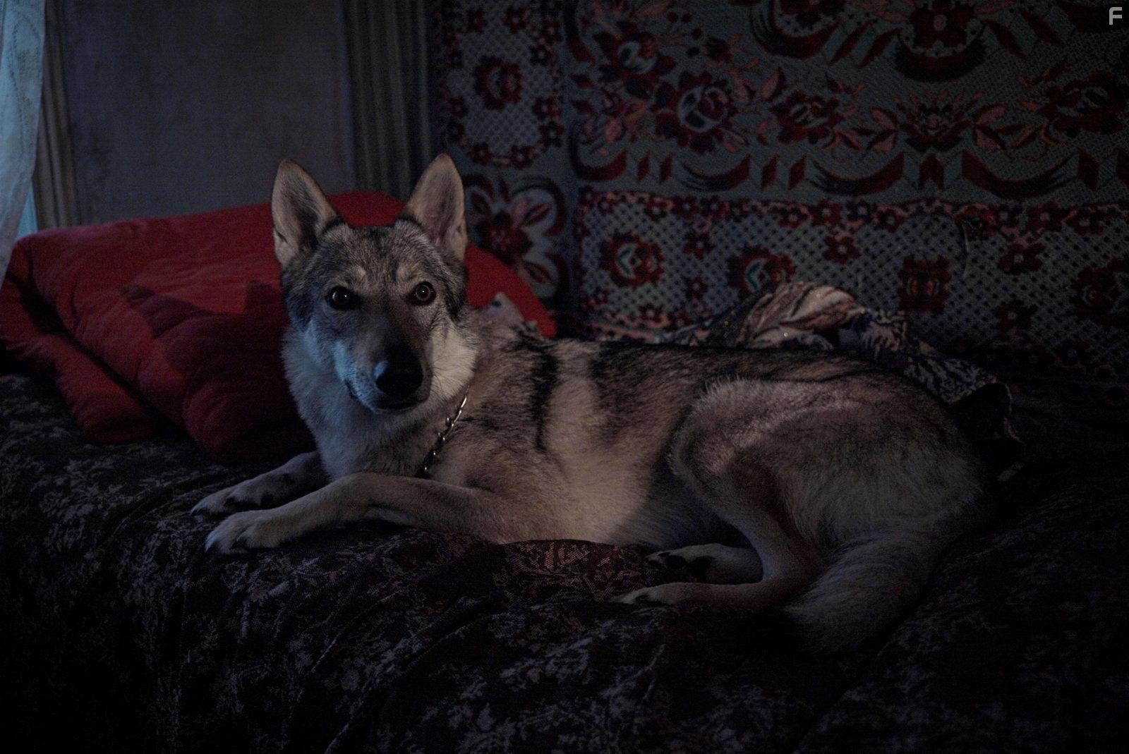 Подельники #23