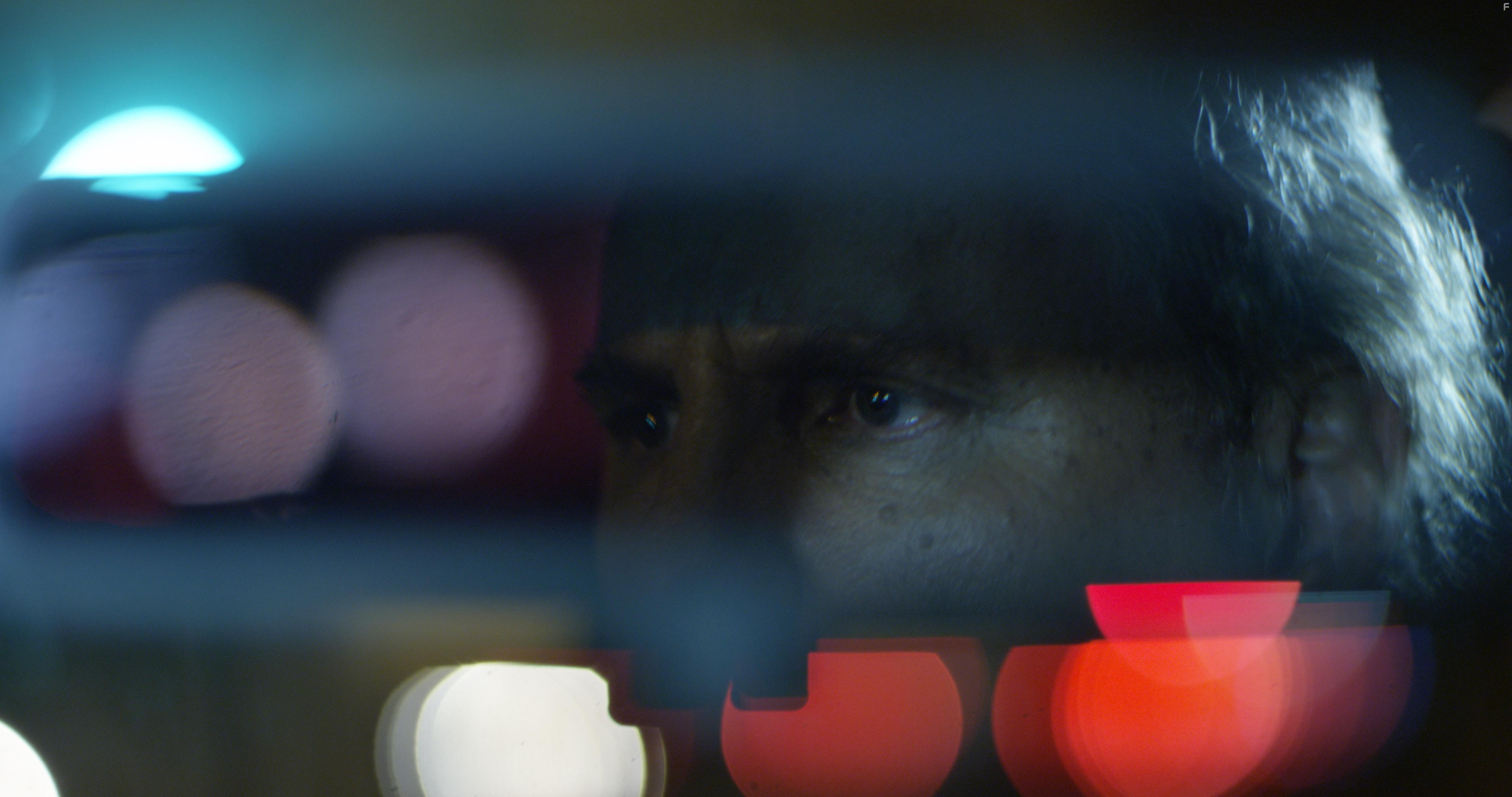 Неизбежная смерть краба