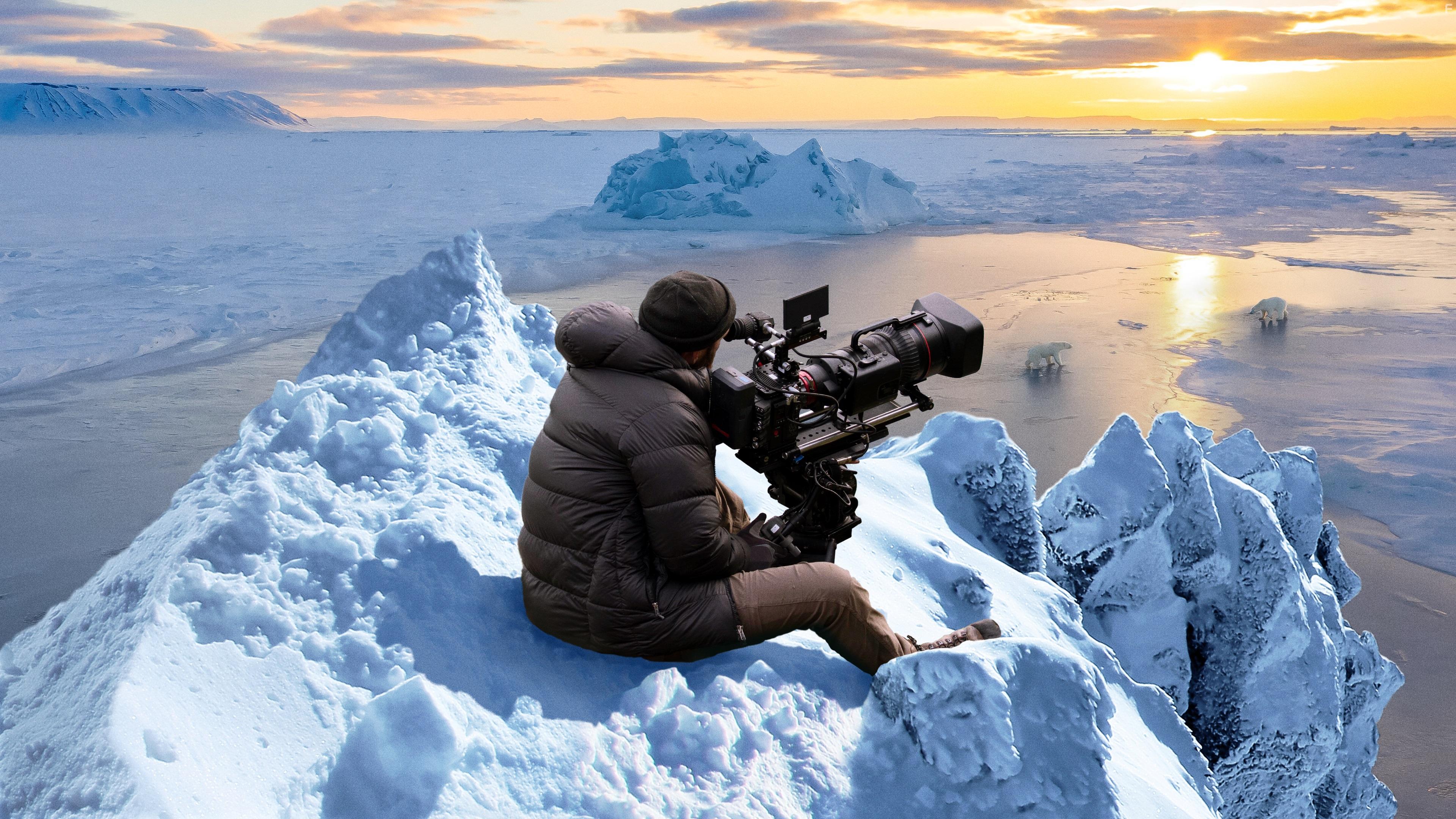 Наблюдение за медведем