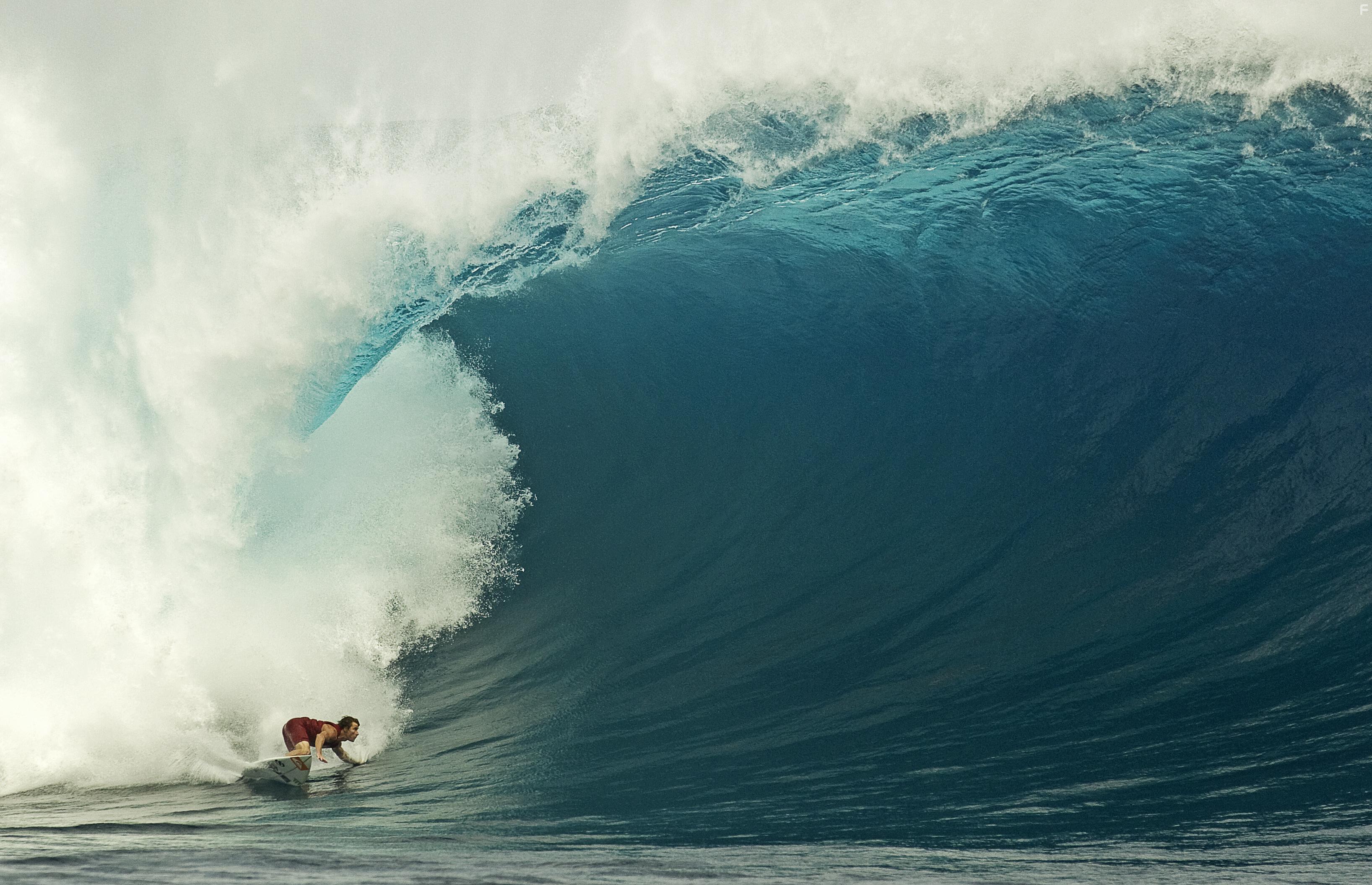 Mark Healey in White Rhino (2019)