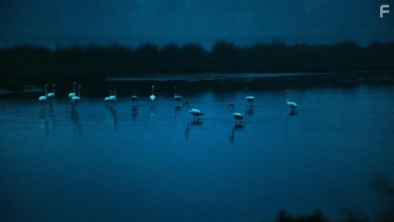 America Latina (2021)