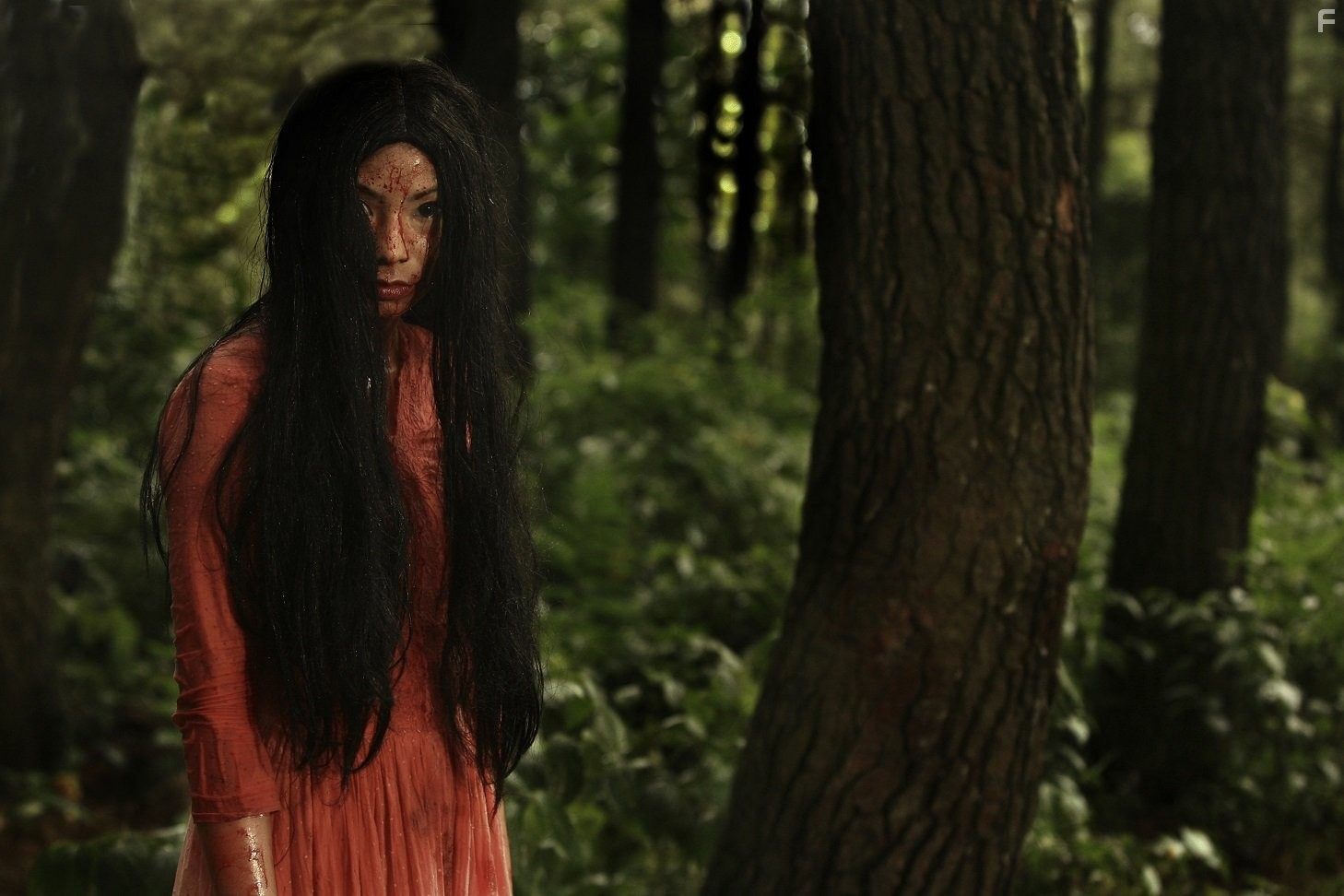 Shareefa Daanish in Дара (2009)