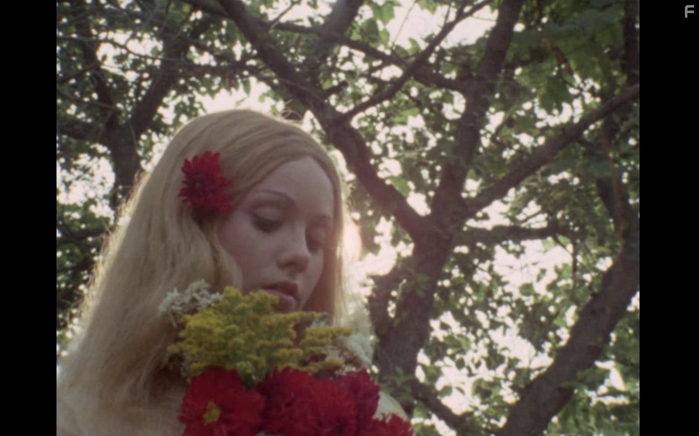 Woodlands Dark and Days Bewitched: A History of Folk Horror (2021)