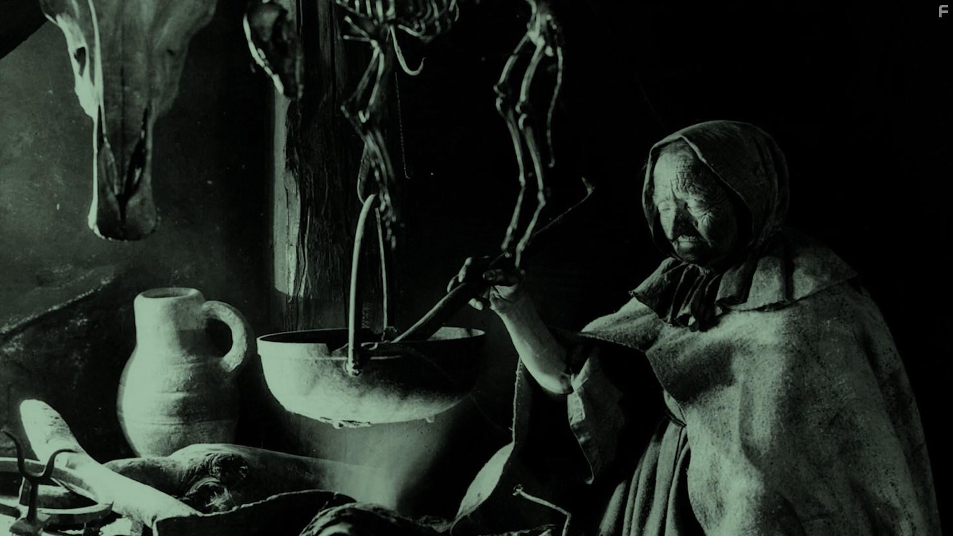 Woodlands Dark and Days Bewitched: A History of Folk Horror (2021)