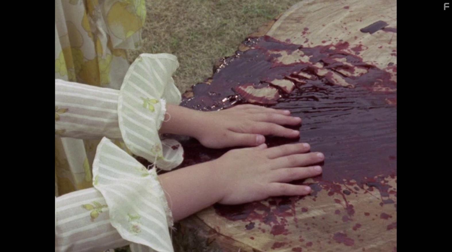 Woodlands Dark and Days Bewitched: A History of Folk Horror (2021)