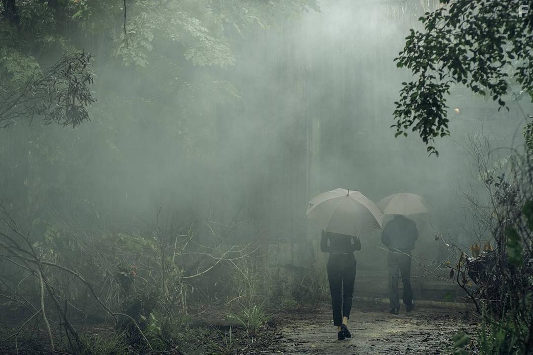 Реинкарнация. Картины с того света