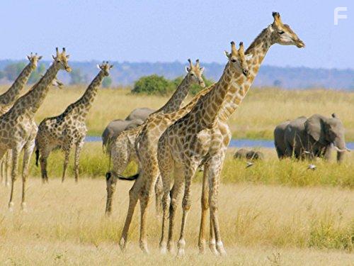 Great Parks of Africa (2016)