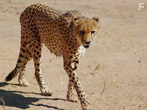 Great Parks of Africa (2016)