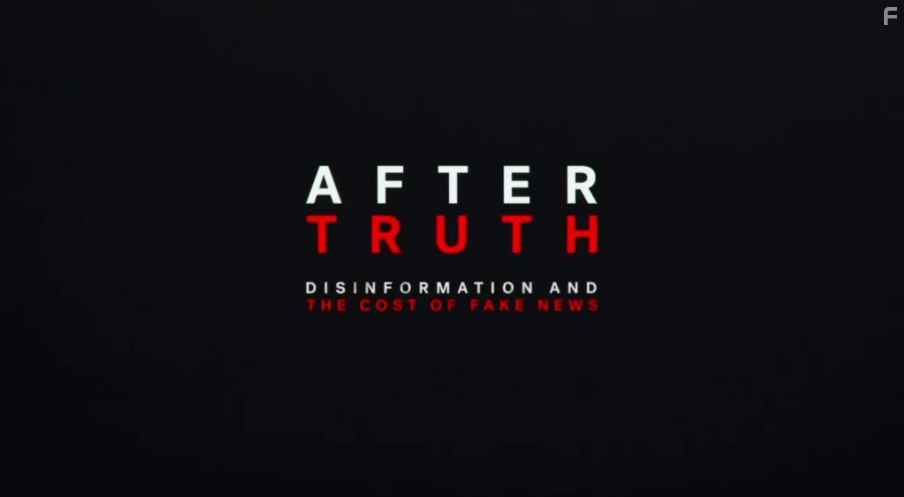 After Truth: Disinformation and the Cost of Fake News (2020)