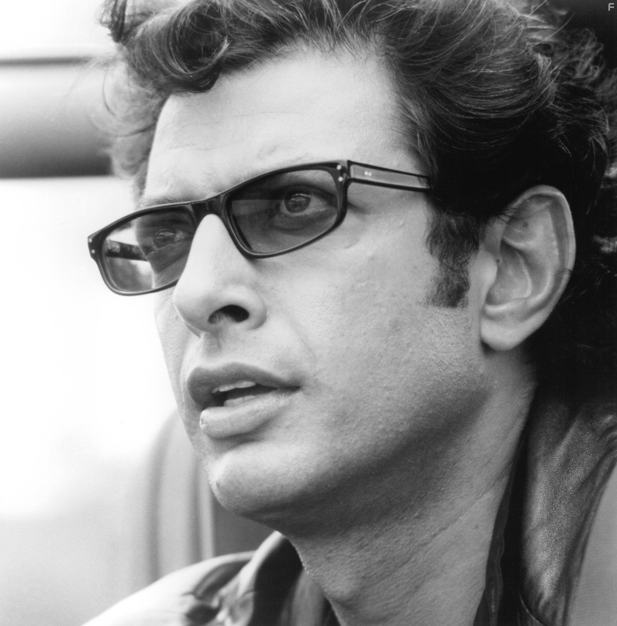 Jeff Goldblum in Парк юрского периода (1993)
