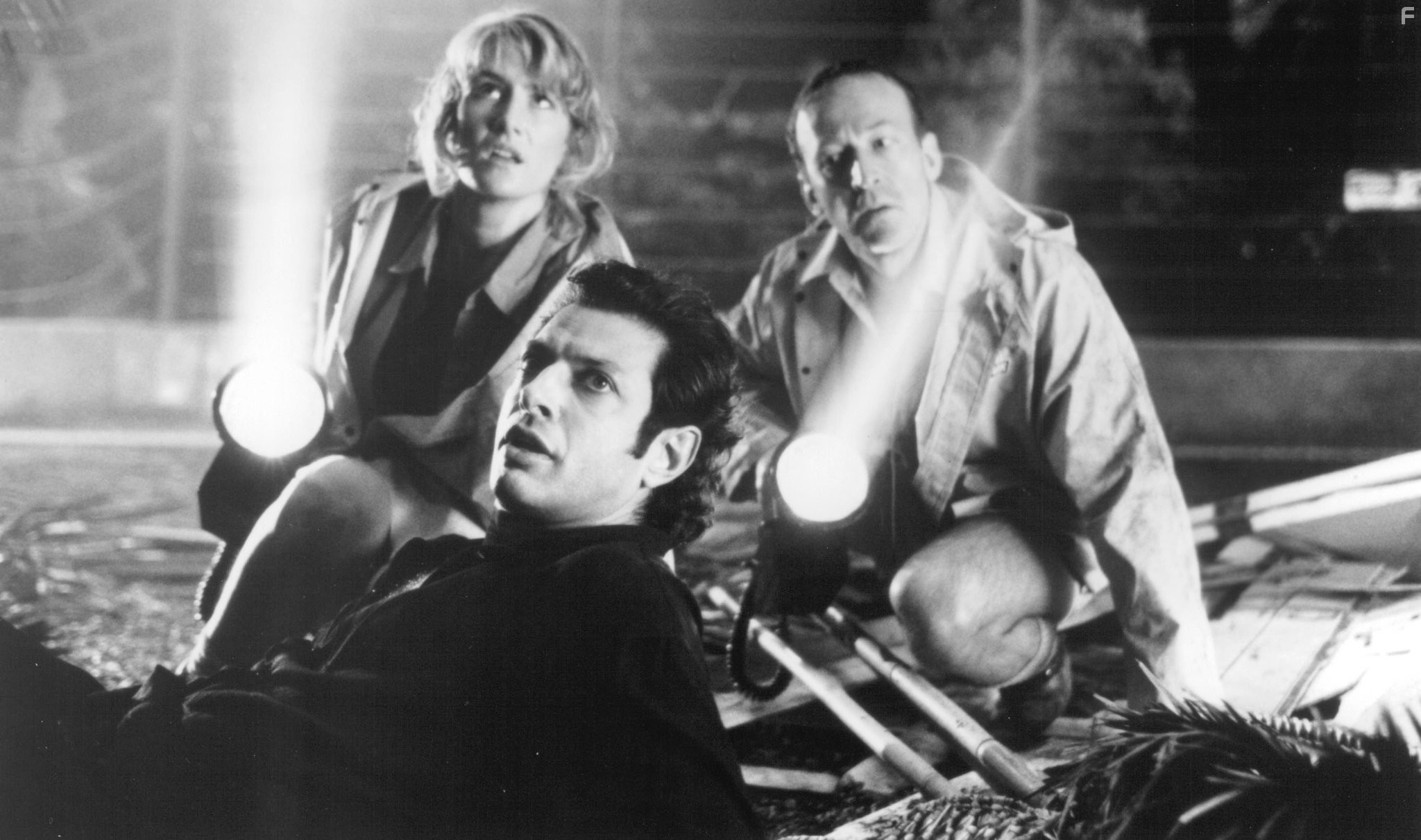 Jeff Goldblum, Laura Dern, and Bob Peck in Парк юрского периода (1993)