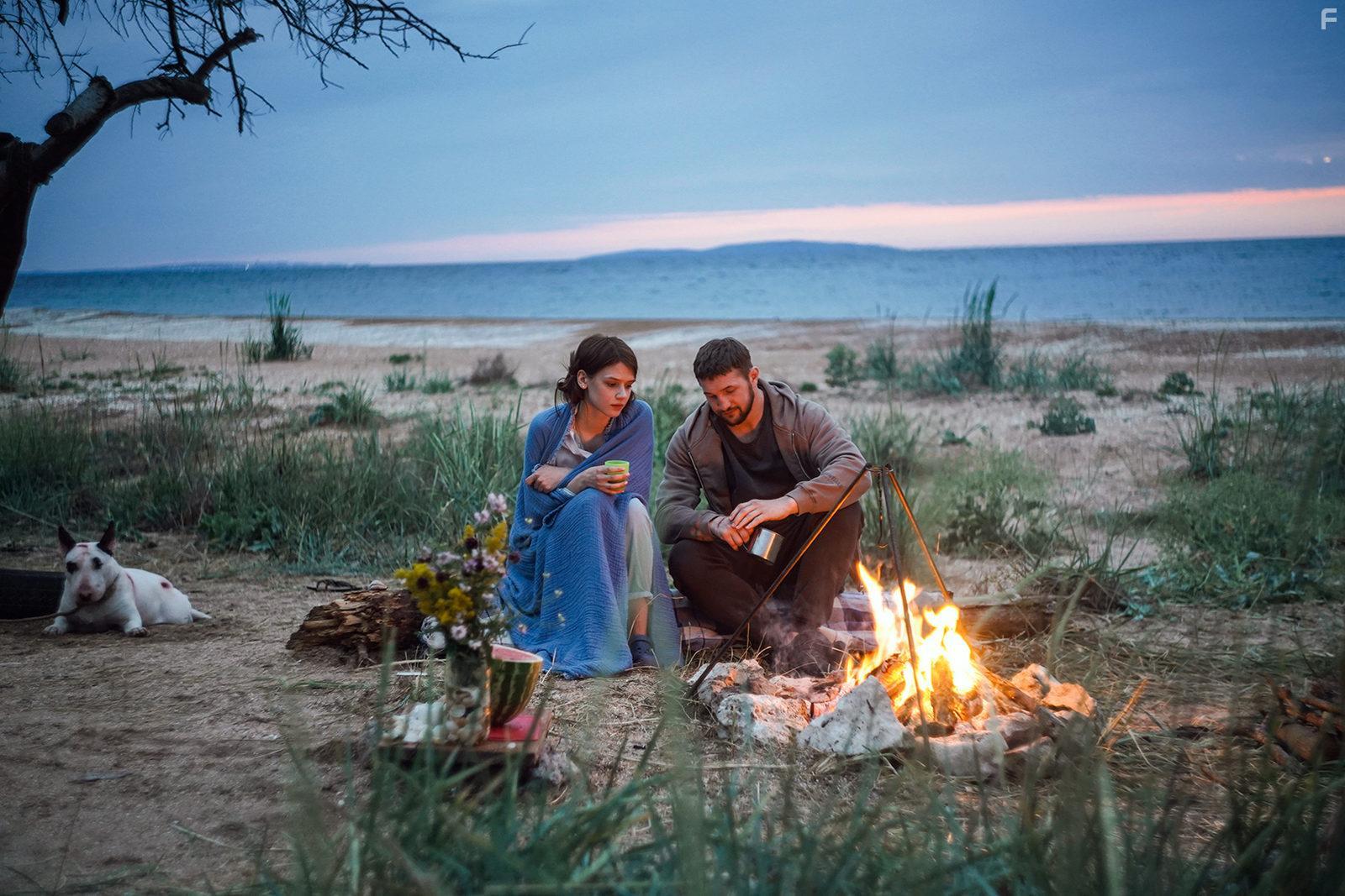 Бультерьер #2