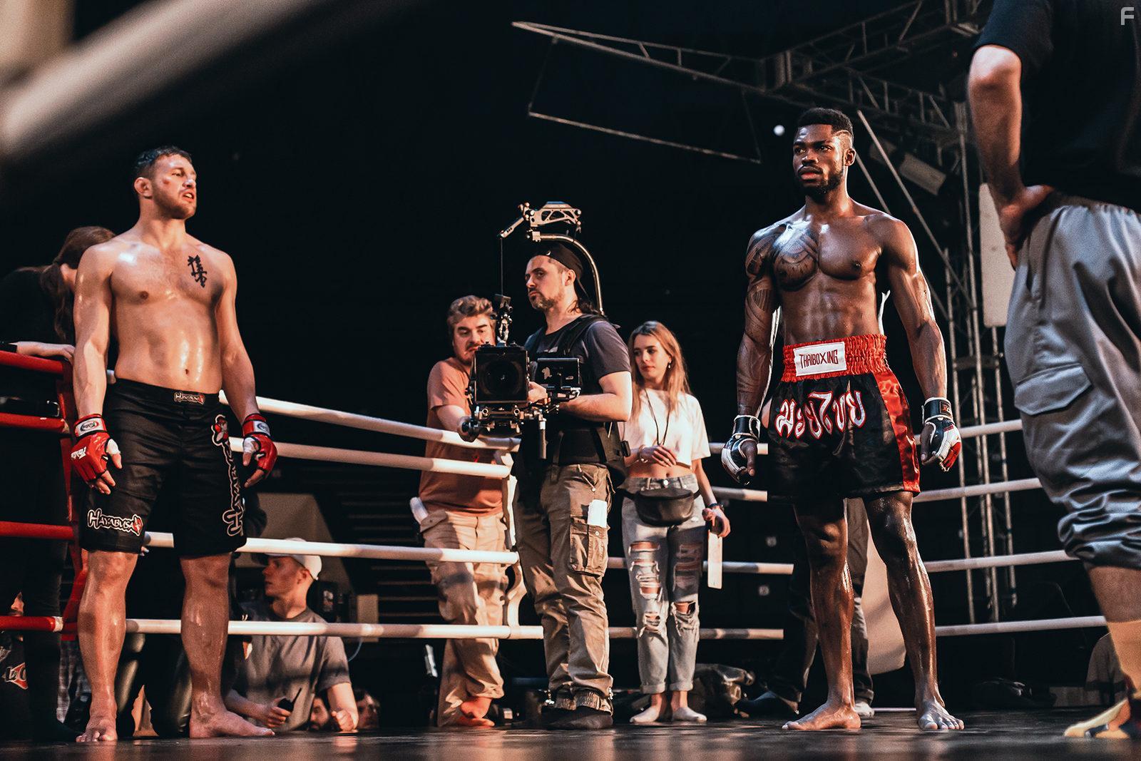 Бультерьер #9