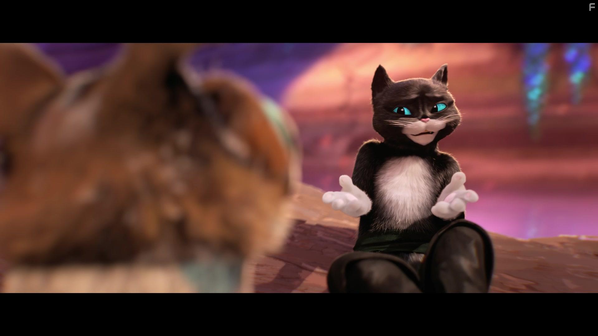 Salma Hayek and Harvey Guilln in Puss in Boots: The Last Wish (2022)