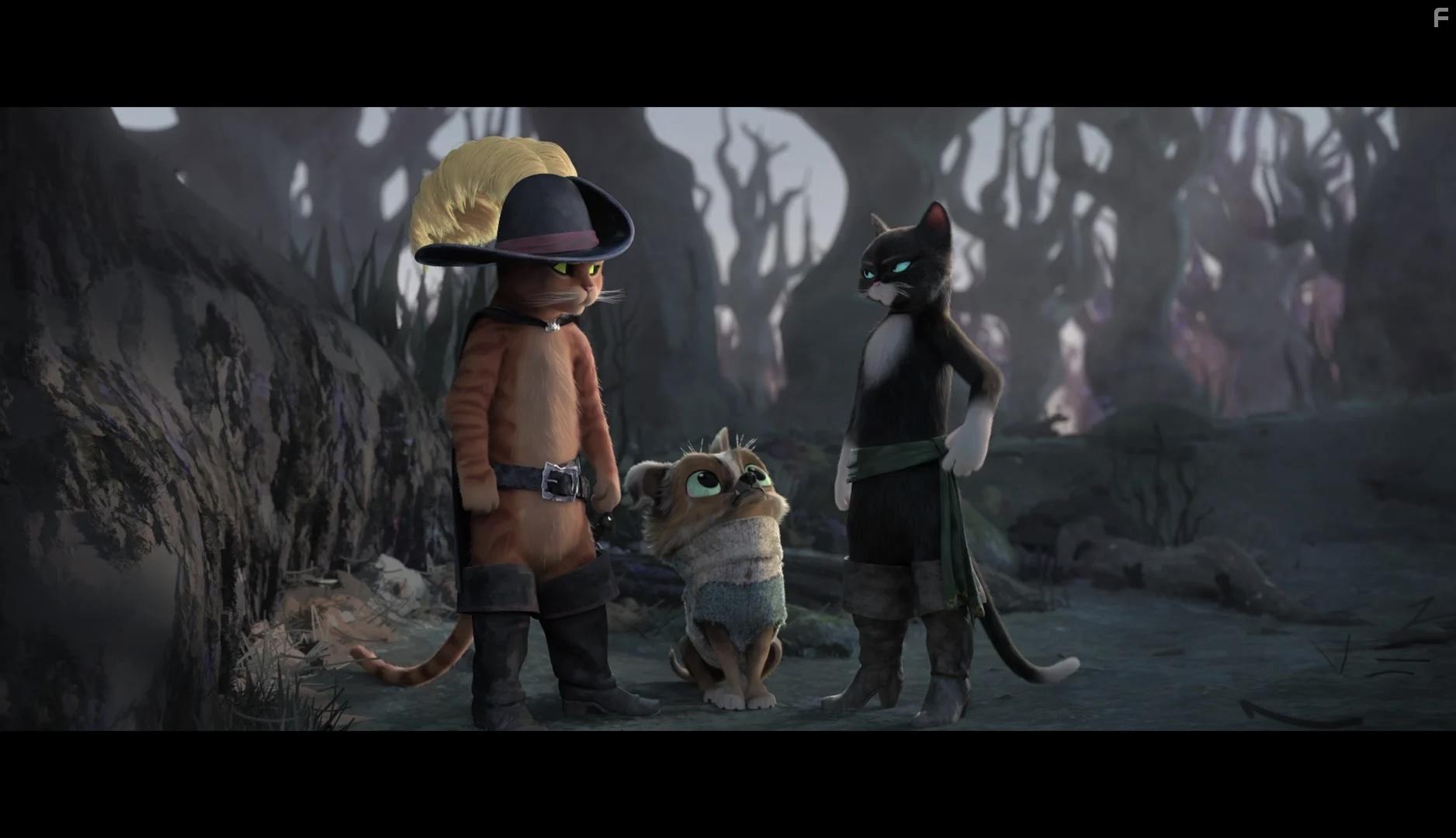 Antonio Banderas, Salma Hayek, and Harvey Guilln in Puss in Boots: The Last Wish (2022)