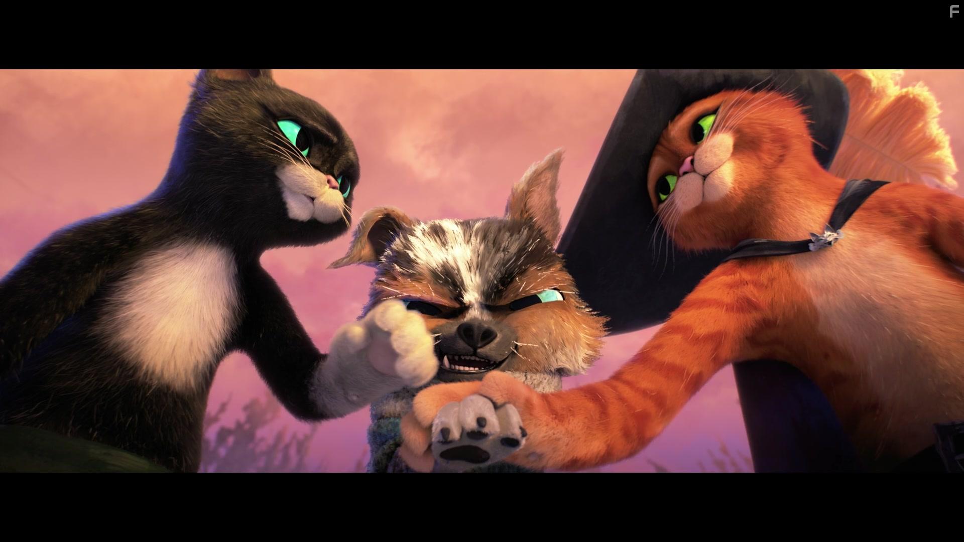 Antonio Banderas, Salma Hayek, and Harvey Guilln in Puss in Boots: The Last Wish (2022)