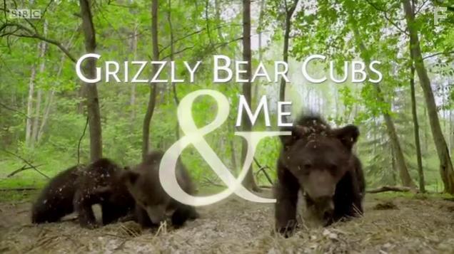 Grizzly Bear Cubs and Me (2018)