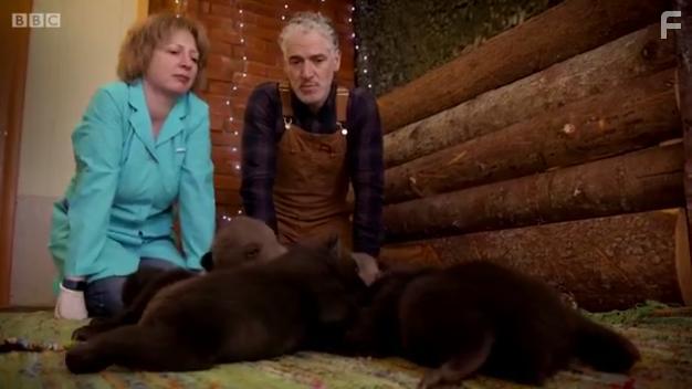 Gordon Buchanan and Katya Pazhetnov in Grizzly Bear Cubs and Me (2018)
