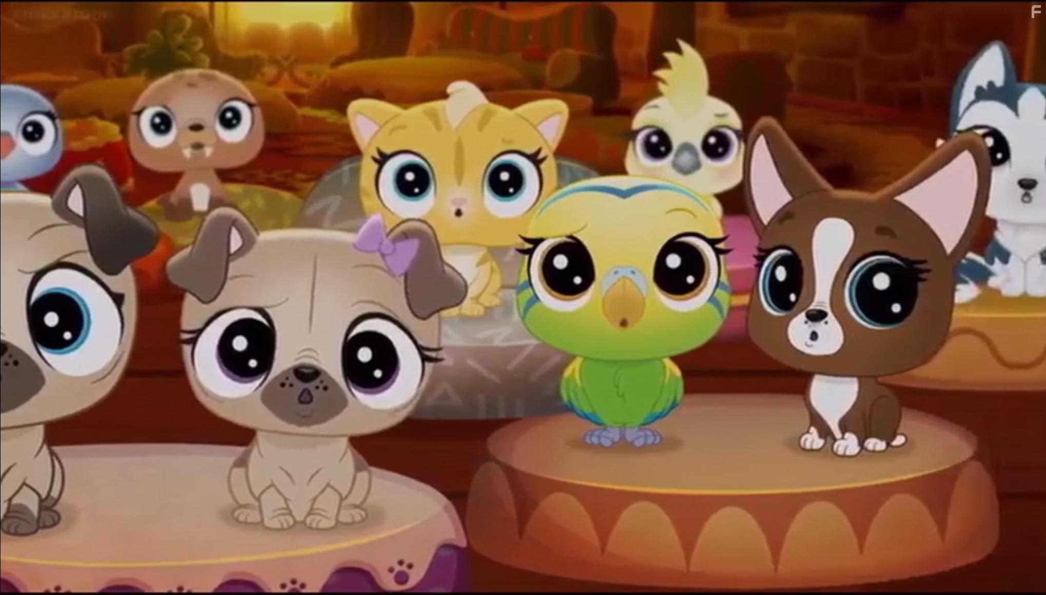 Shannon Chan-Kent, Diana Kaarina, Vincent Tong, Brooke L. Goldner, Bill Newton, and Lili Beaudoin in Littlest Pet Shop: A World of Our Own: Happy Pranksgiving (2019)