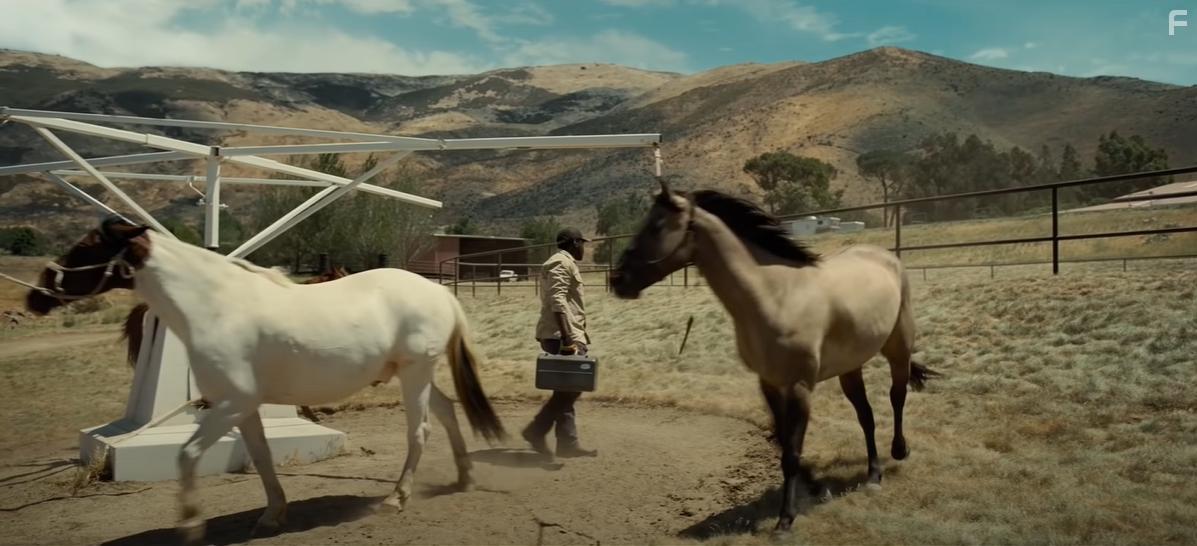 Daniel Kaluuya in Nope (2022)