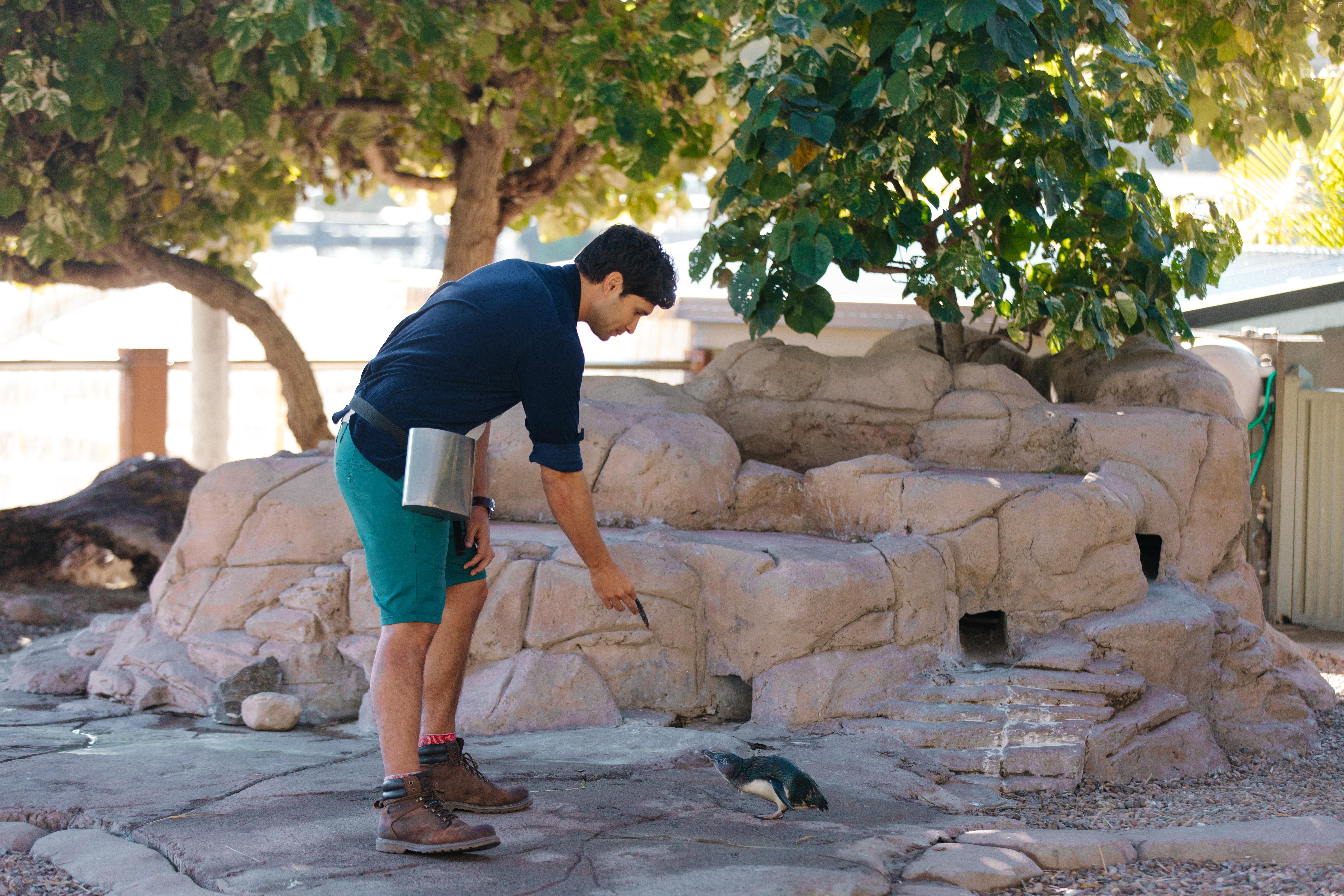 Love and Penguins (2022)