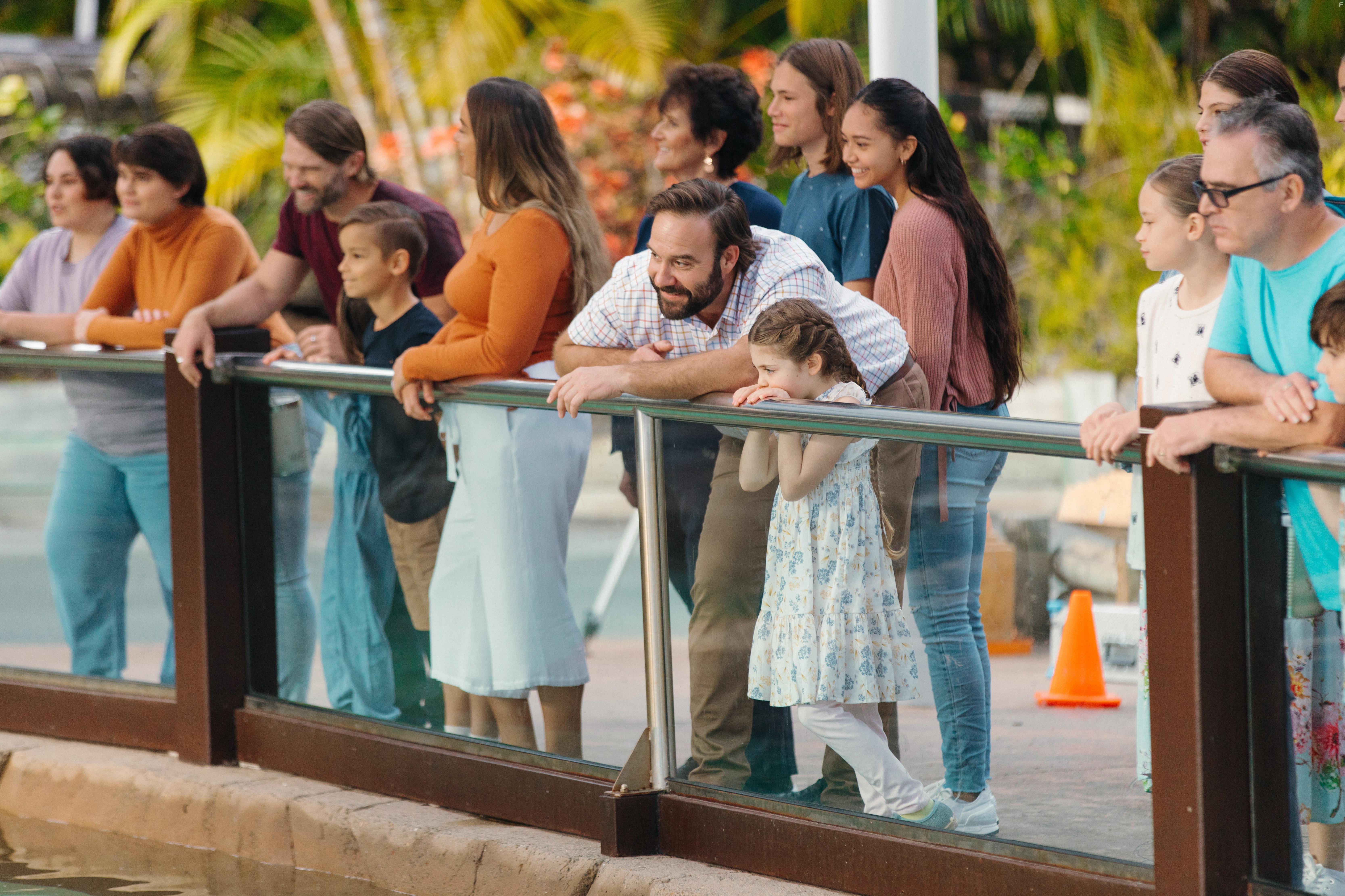 Love and Penguins (2022)