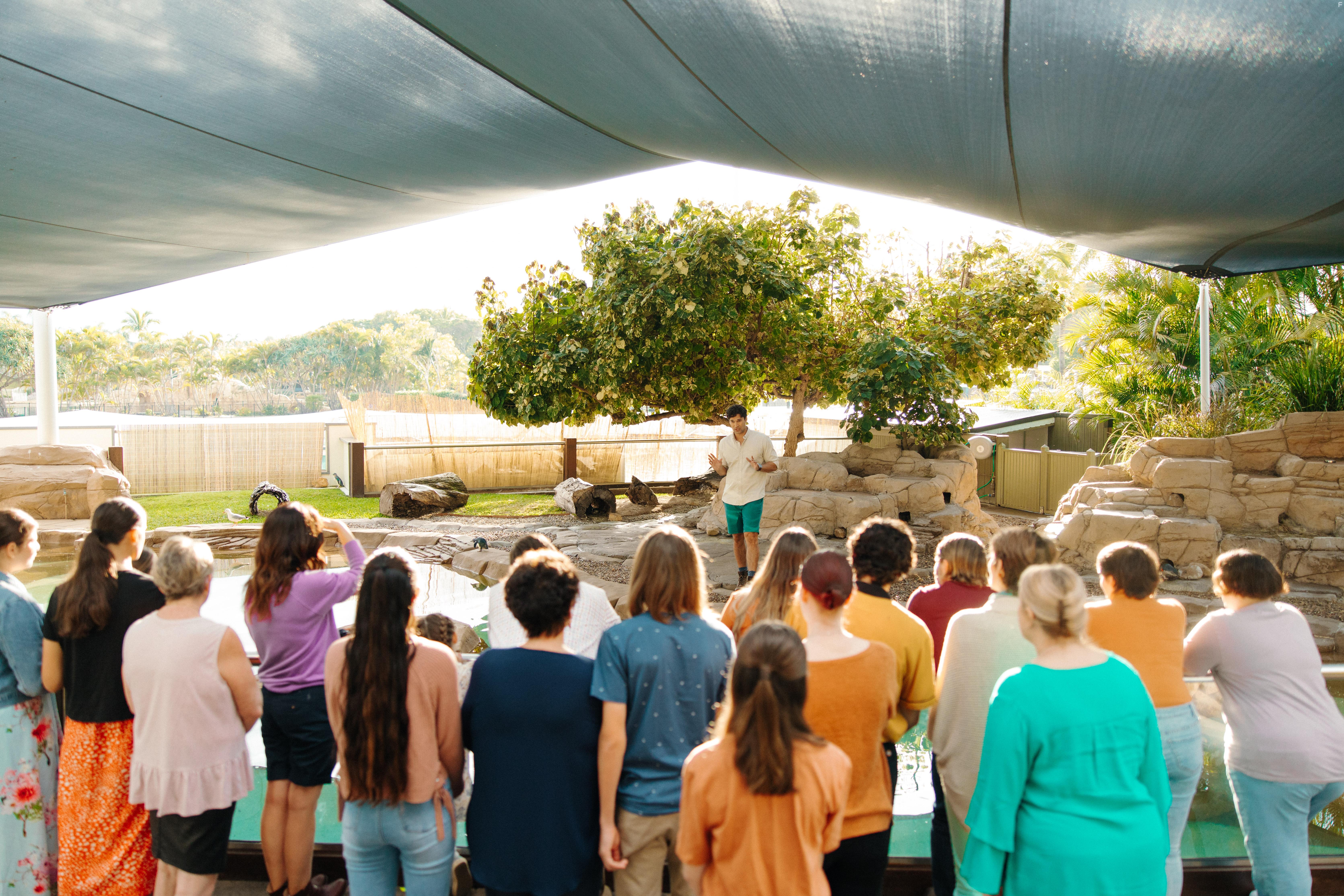 Love and Penguins (2022)