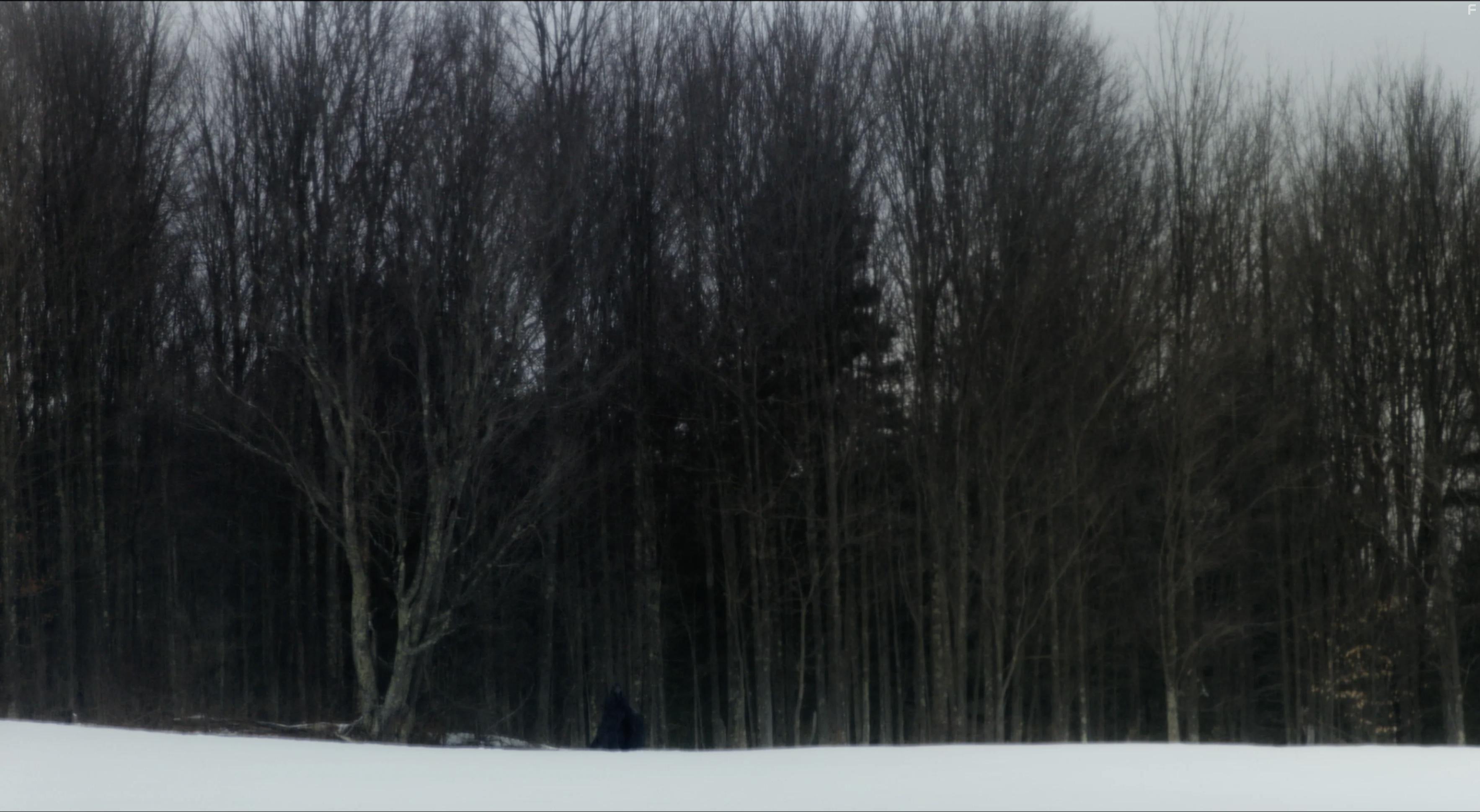 The Harbinger (2022)