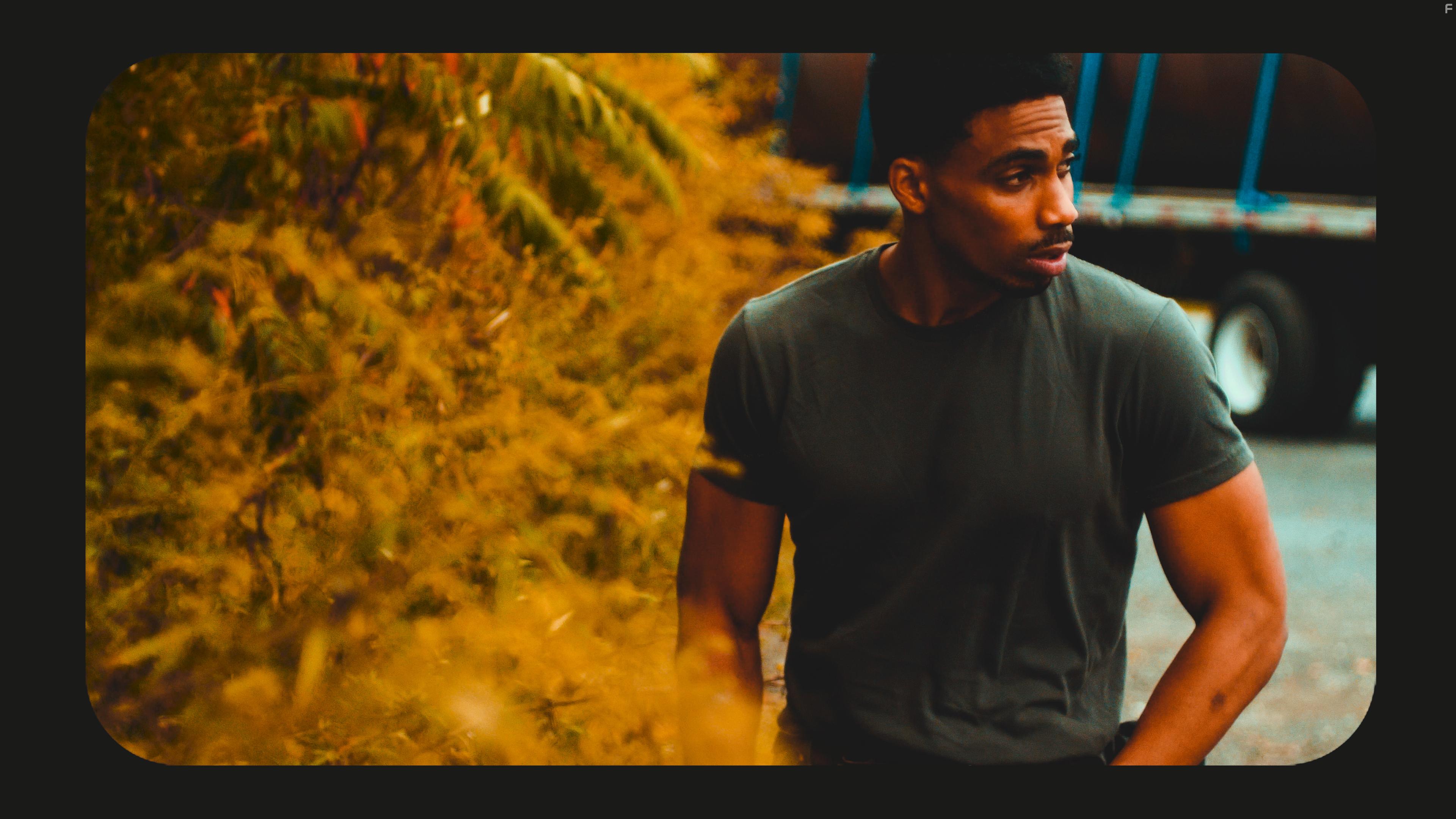 Tequila Sunrise (2022)