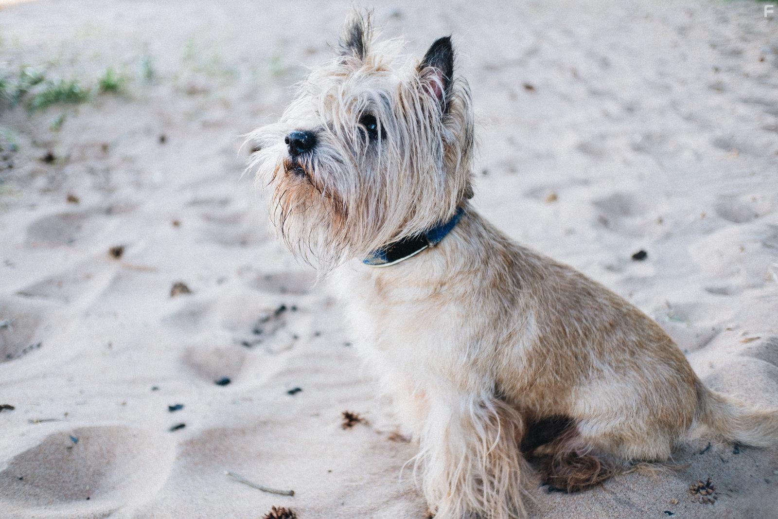 Далекие близкие #4