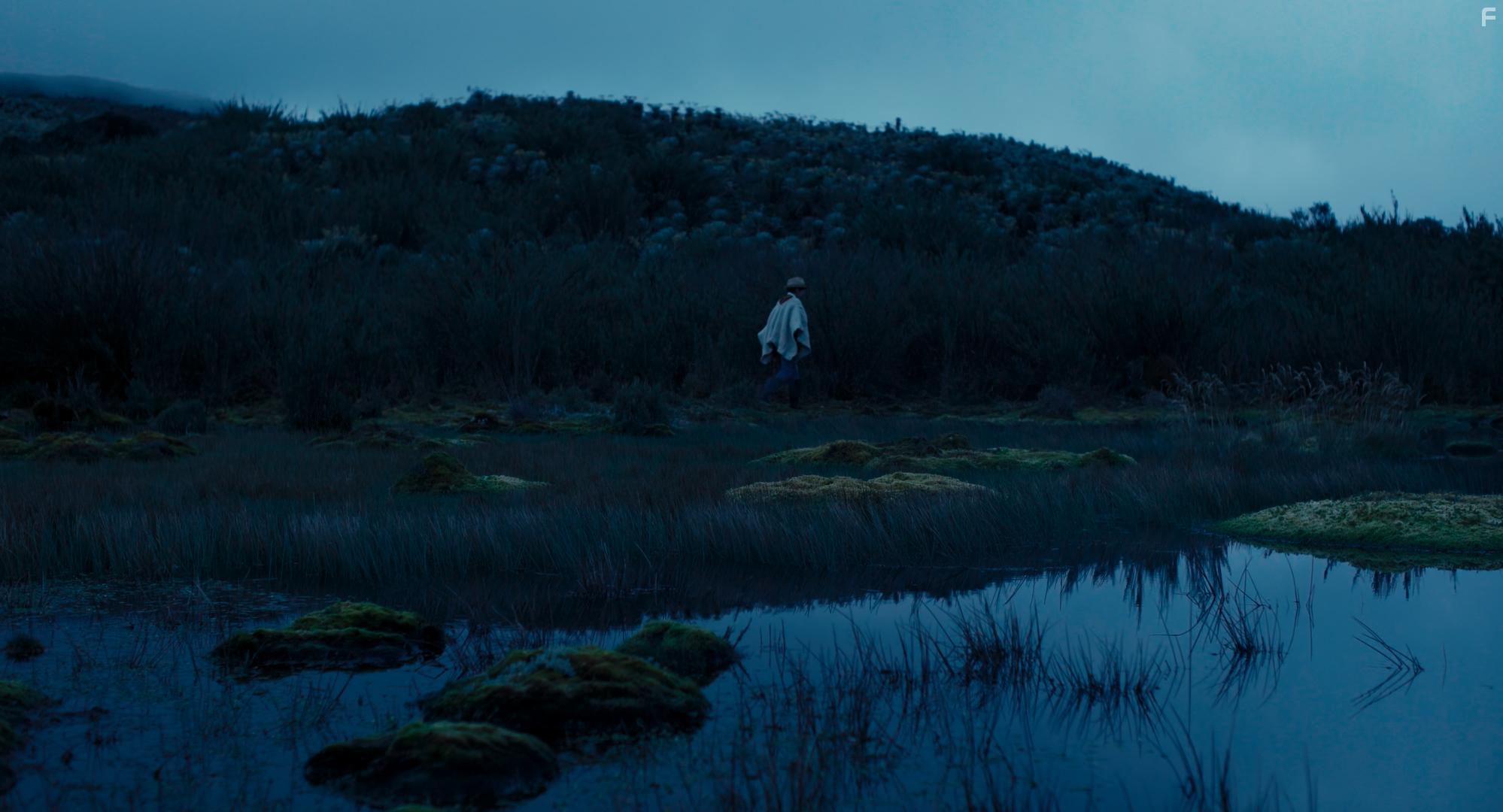 Entre la niebla (2021)