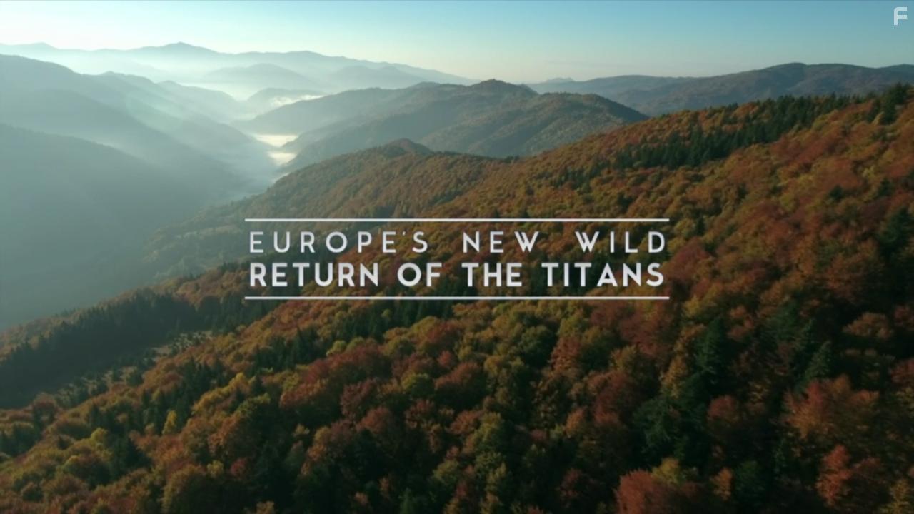 Europe's New Wild (2021)