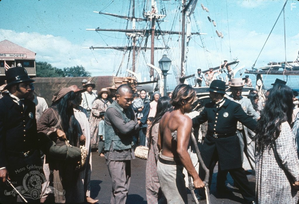 The Hawaiians (1970)