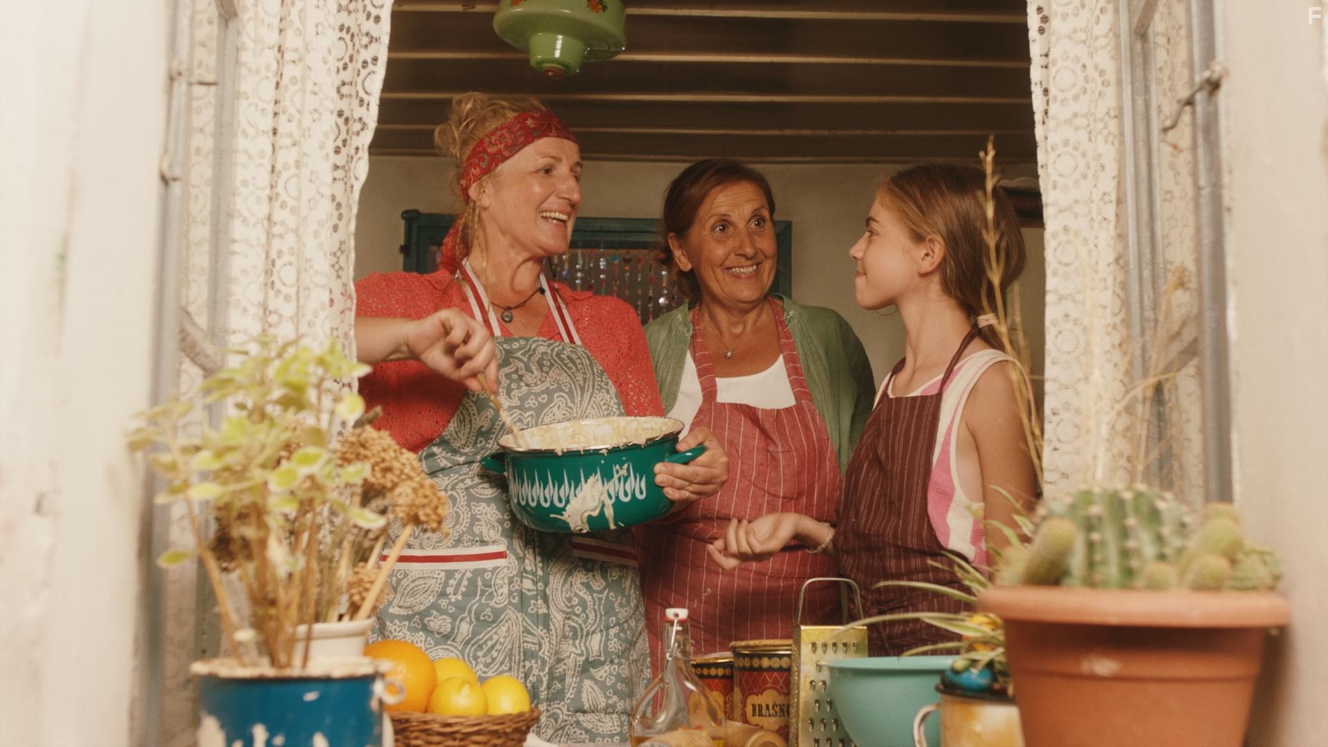 Leto kada sam naucila da letim (2022)