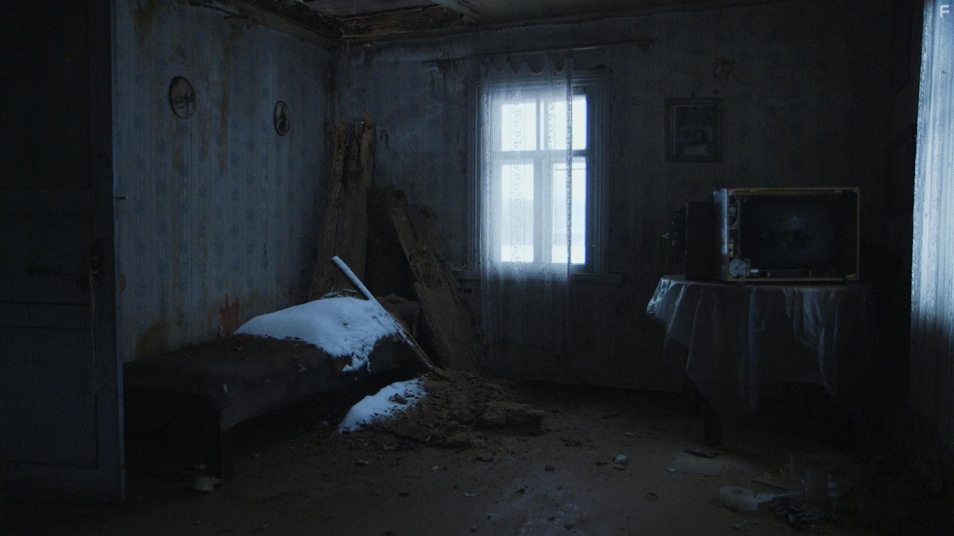 Latvian Coyote (2019)