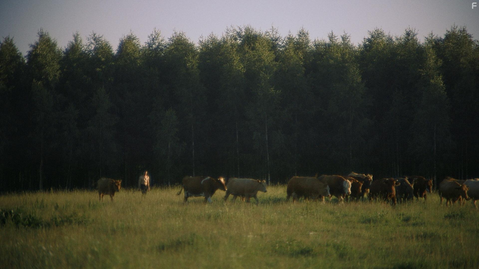 Латвийский койот
