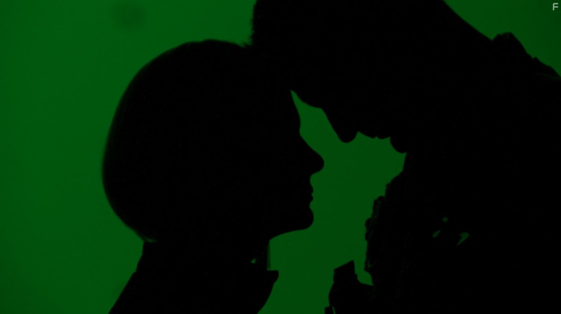 Последний: Элегия зелёного берета