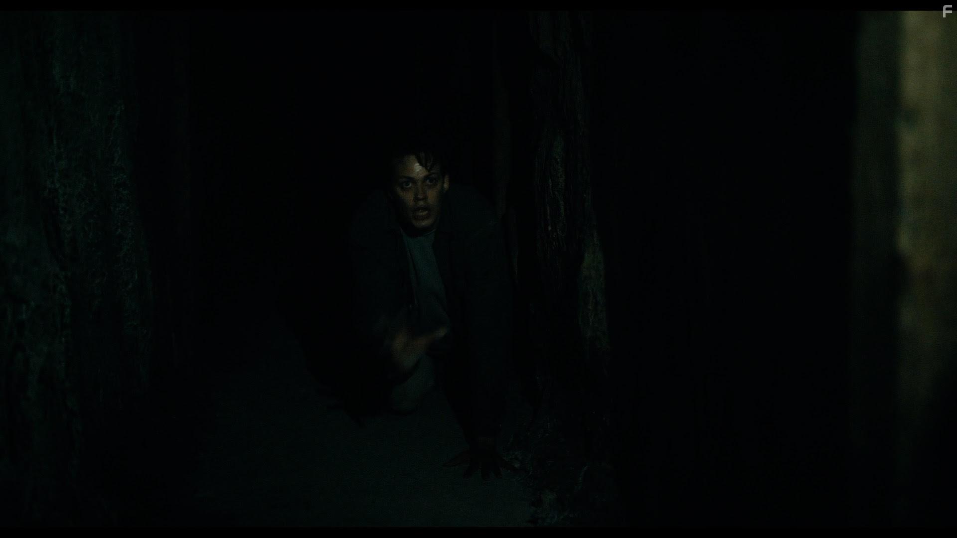 Bill Skarsgrd in Barbarian (2022)