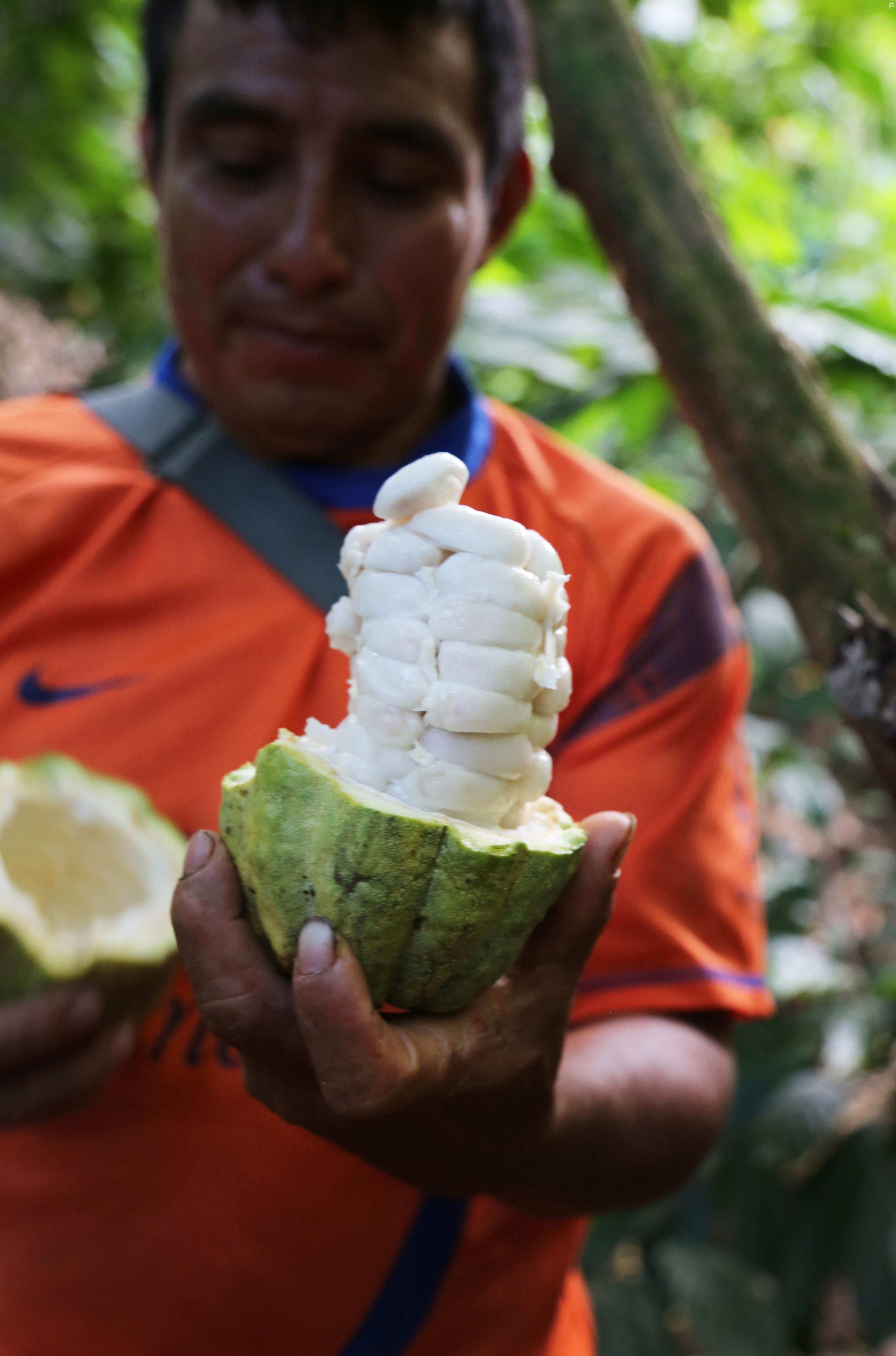 Планку выше: История происхождения крафтового шоколада