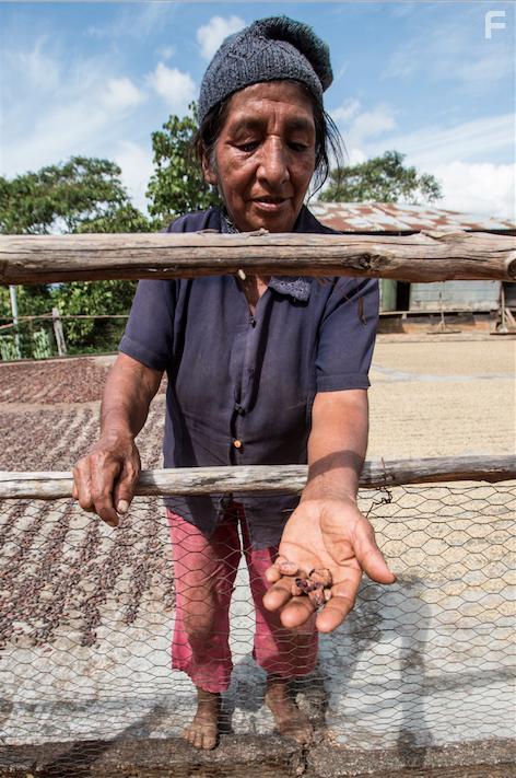 Setting the Bar: A Craft Chocolate Origin Story (2018)