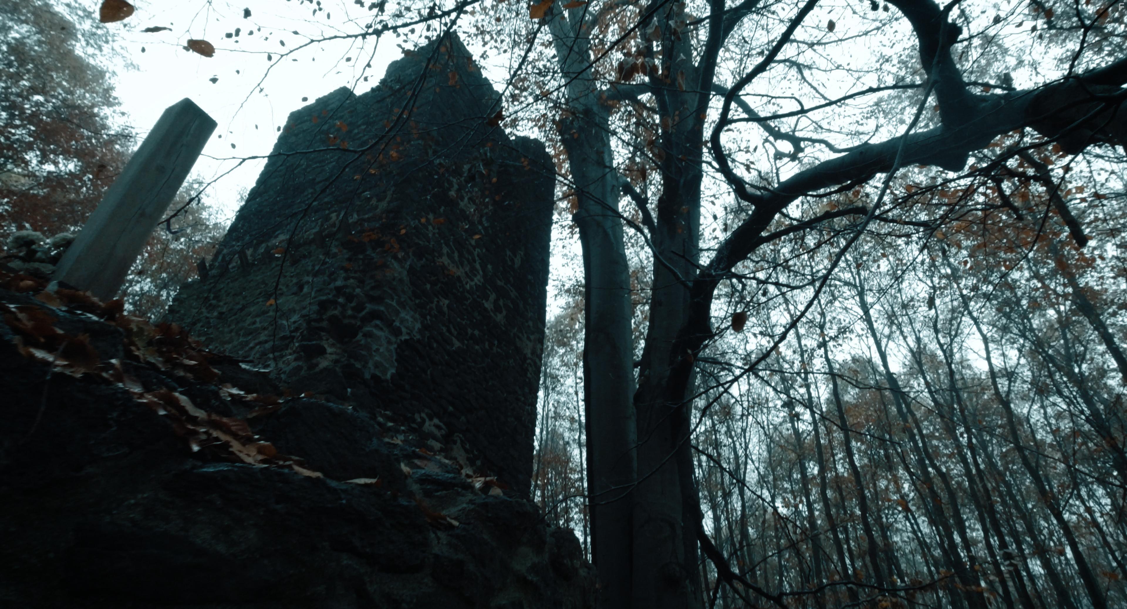 I Hear the Trees Whispering (2022)