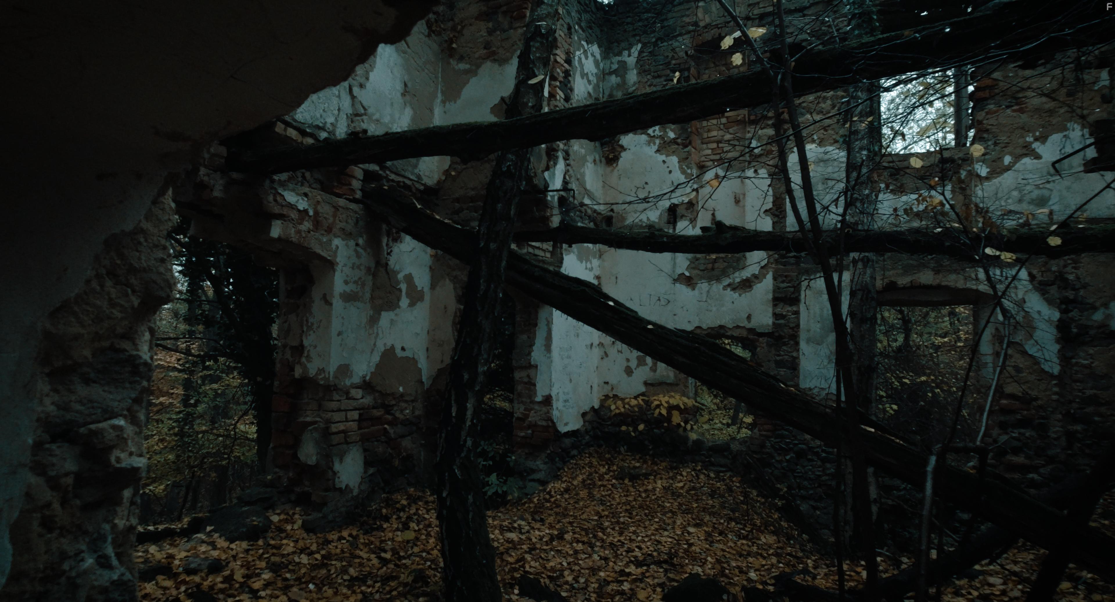 I Hear the Trees Whispering (2022)