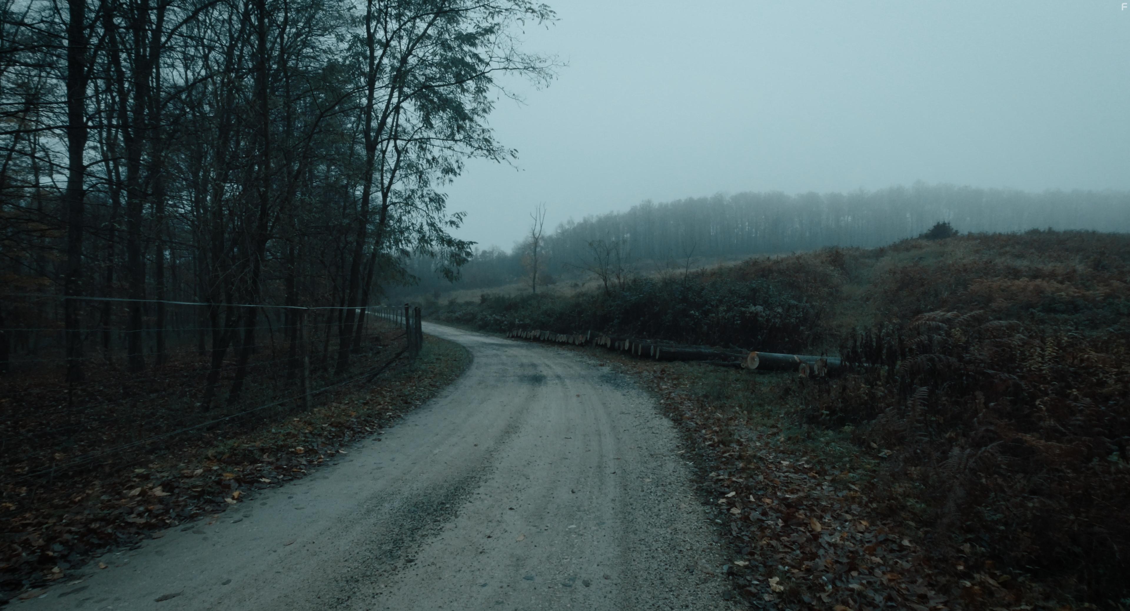 I Hear the Trees Whispering (2022)