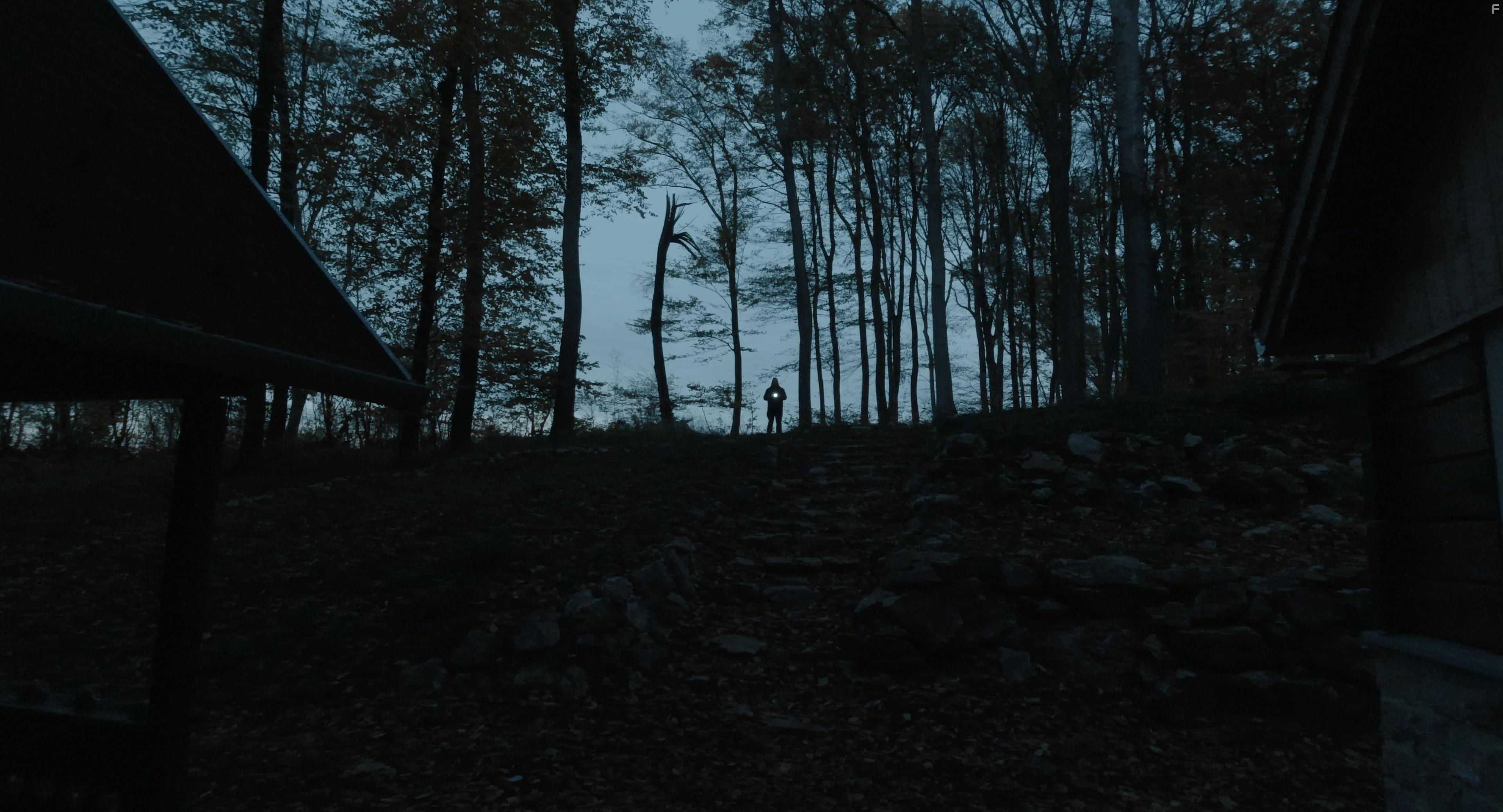 I Hear the Trees Whispering (2022)