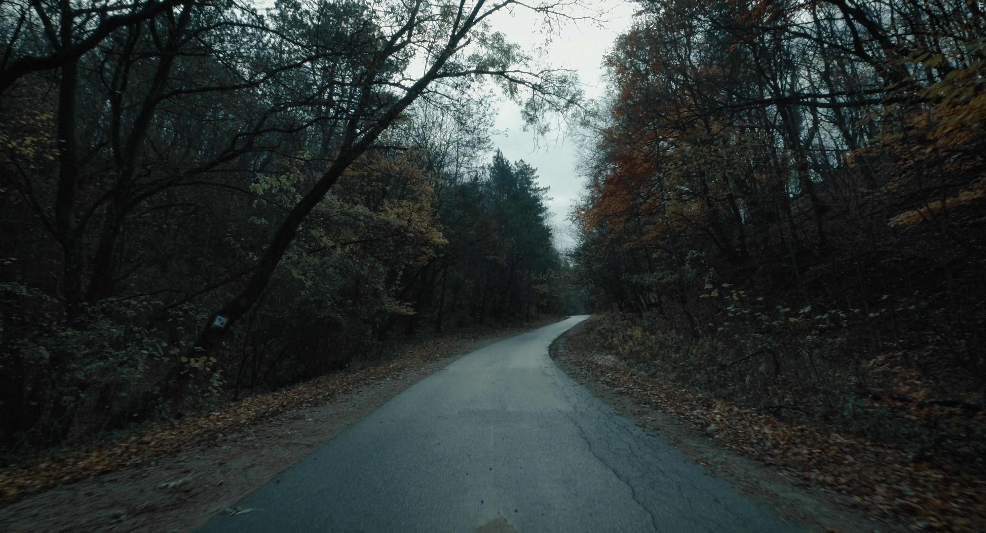 I Hear the Trees Whispering (2022)